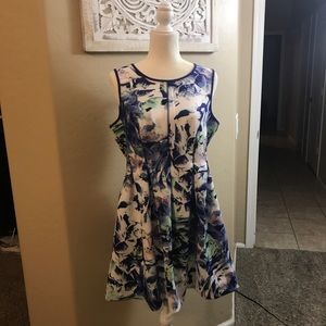 Floral Skater Dress